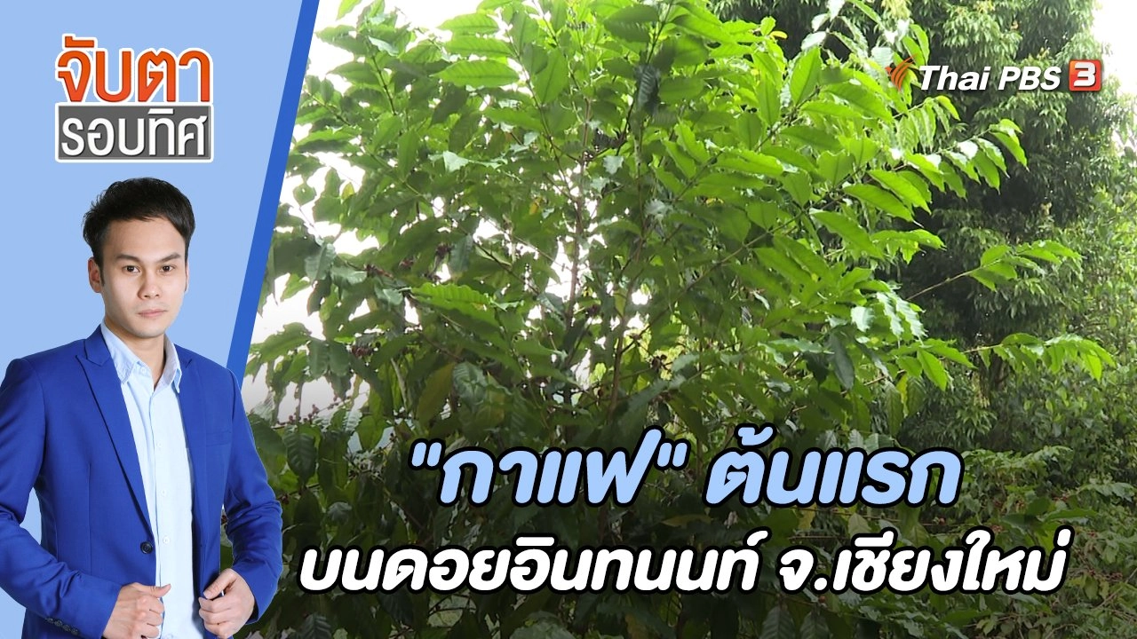 "กาแฟ" ต้นแรกบนดอยอินทนนท์ จ.เชียงใหม่  | 1 ธ.ค. 65