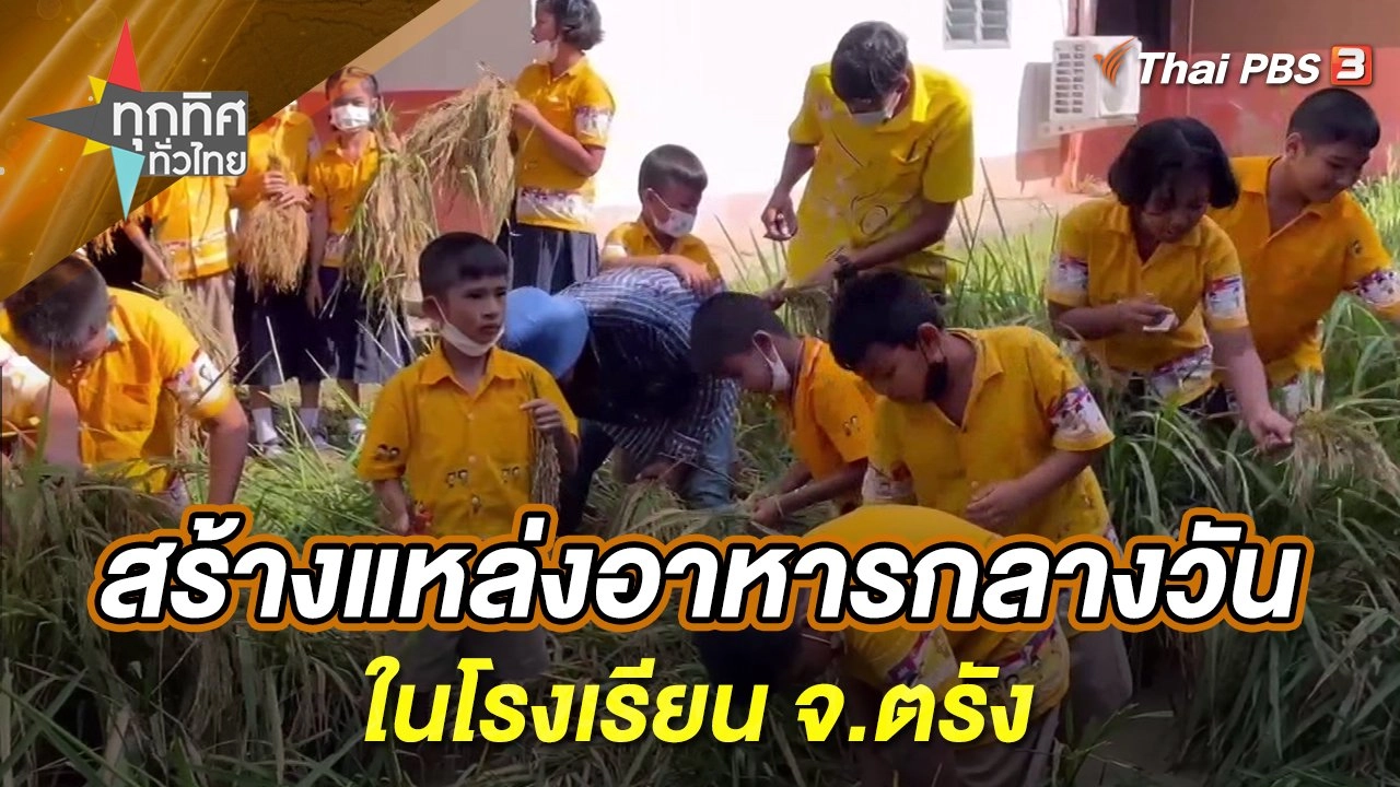 สร้างแหล่งอาหารกลางวันในโรงเรียน จ.ตรัง