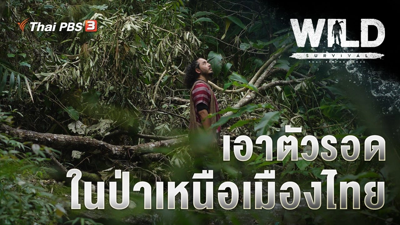 เอาตัวรอดในป่าเหนือเมืองไทย
