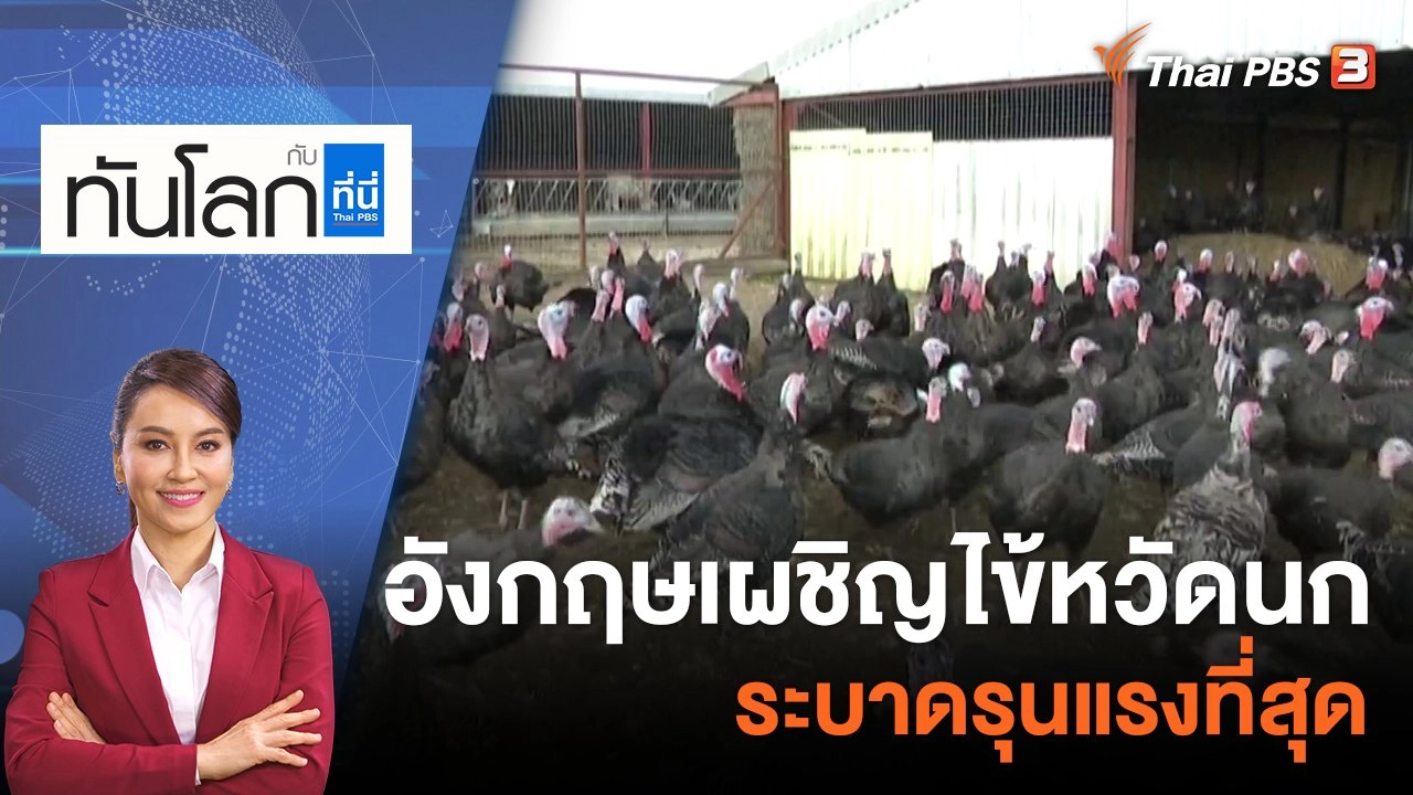 อังกฤษเผชิญไข้หวัดนกระบาดรุนแรงที่สุด | 29 พ.ย. 65