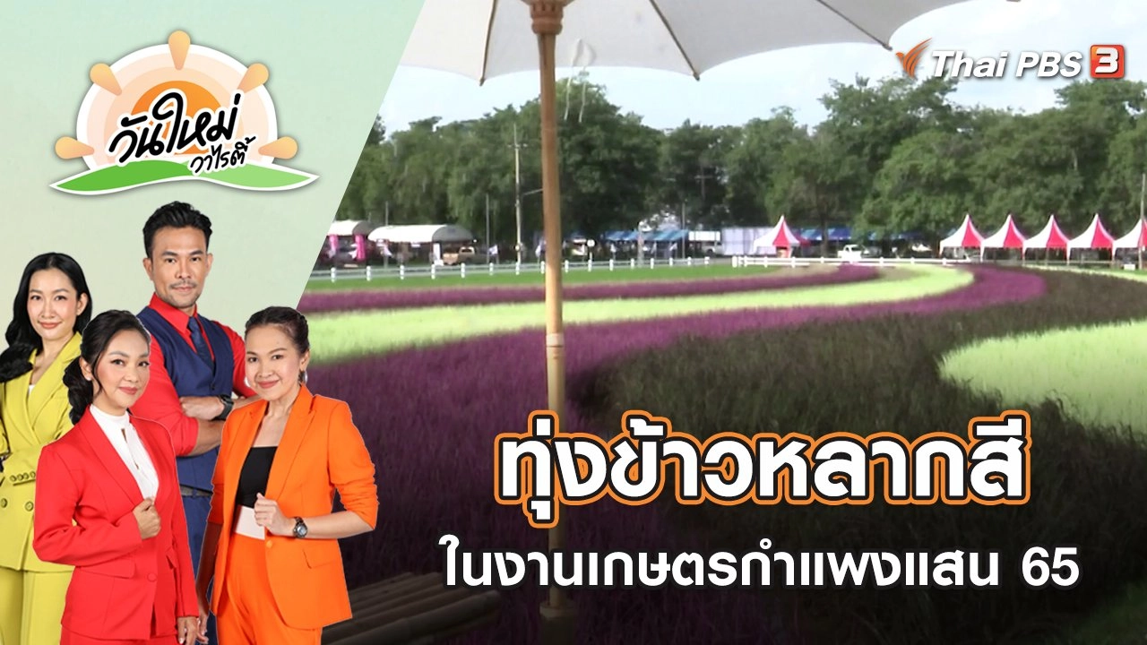 ทุ่งข้าวหลากสี ในงานเกษตรกำแพงแสน 65 | วันใหม่วาไรตี้ | 2 ธ.ค. 65