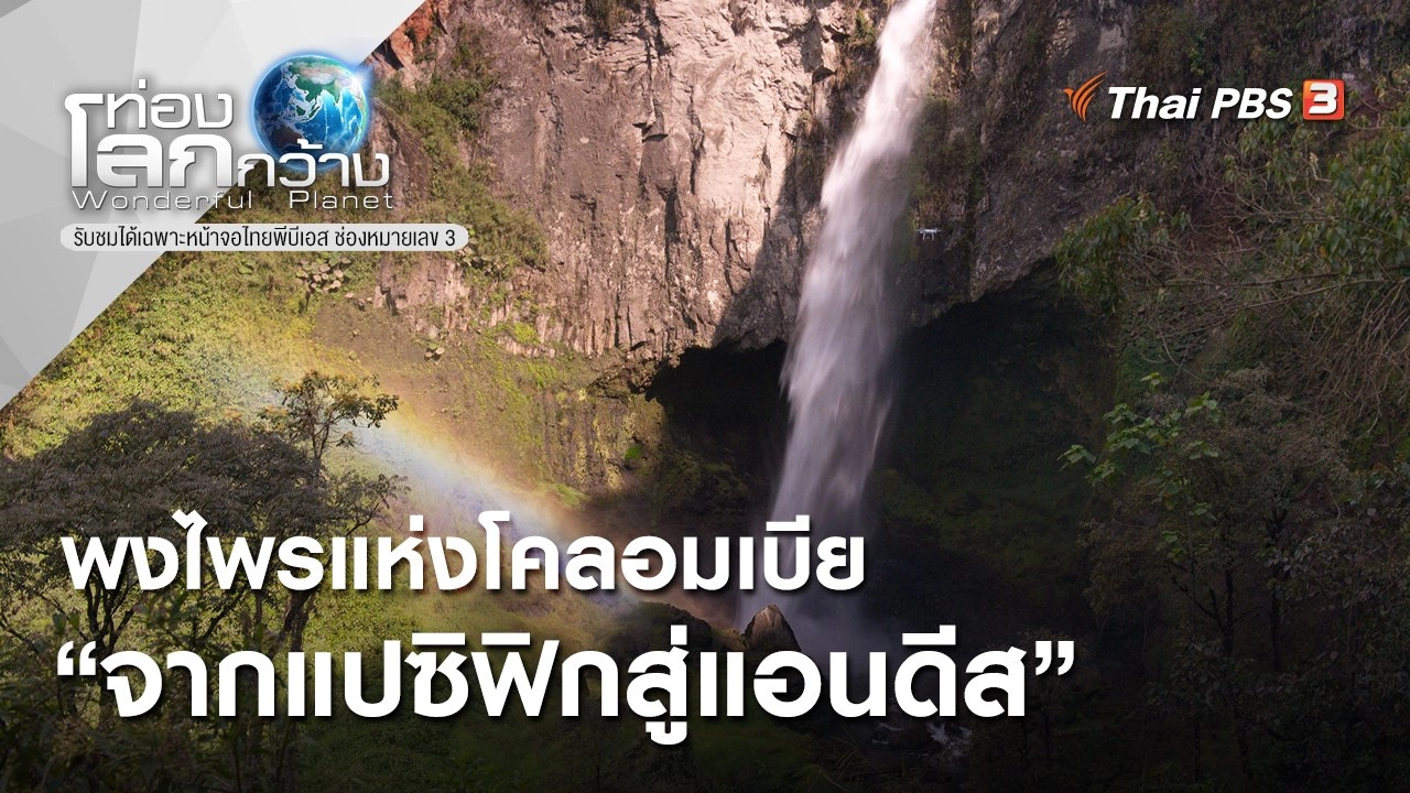 พงไพรแห่งโคลอมเบีย ตอน จากแปซิฟิกสู่แอนดีส