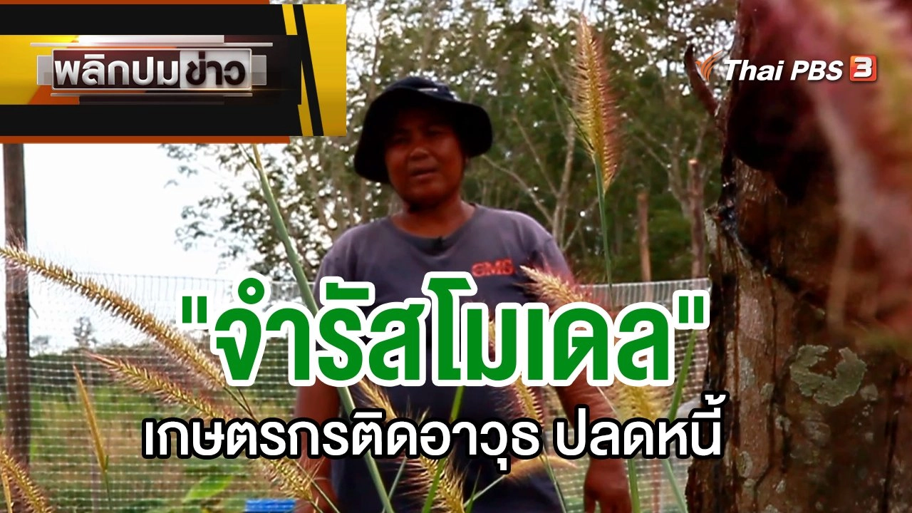 "จำรัสโมเดล" เกษตรกรติดอาวุธ ปลดหนี้