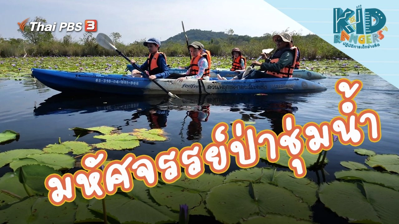 มหัศจรรย์ป่าชุ่มน้ำ