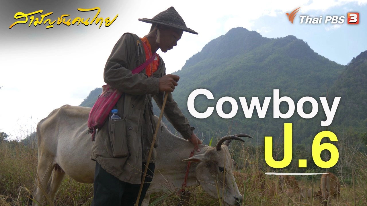 Cowboy ป.6