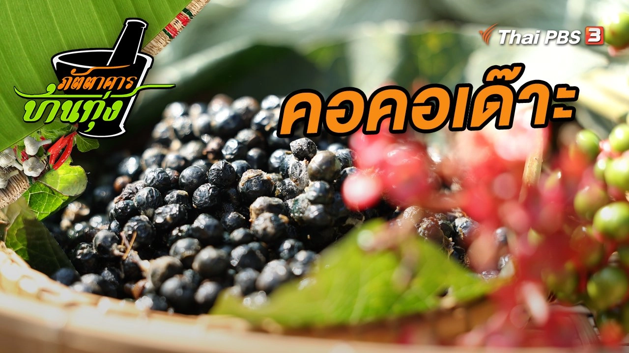 คอคอเด๊าะ