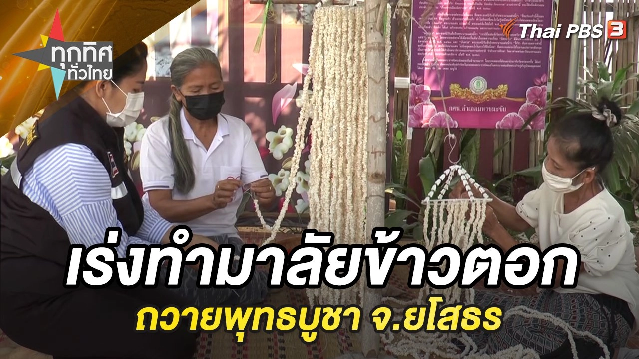 เร่งทำมาลัยข้าวตอกถวายพุทธบูชา จ.ยโสธร