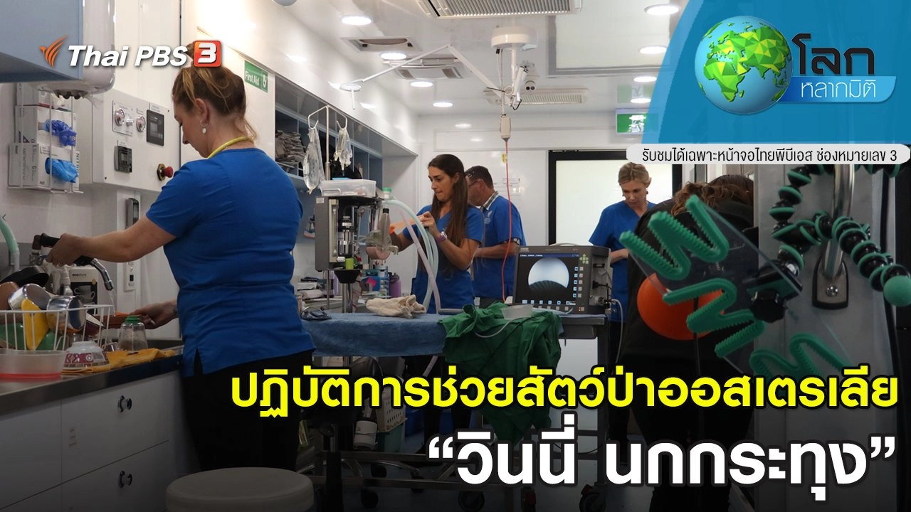 ปฏิบัติการช่วยสัตว์ป่าออสเตรเลีย ตอน วินนี่ นกกระทุง