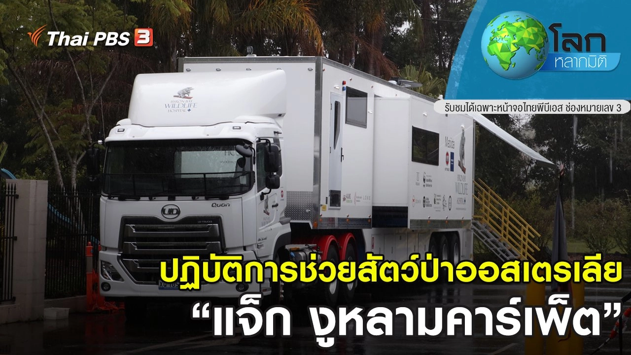 ปฏิบัติการช่วยสัตว์ป่าออสเตรเลีย ตอน แจ็ก งูหลามคาร์เพ็ต