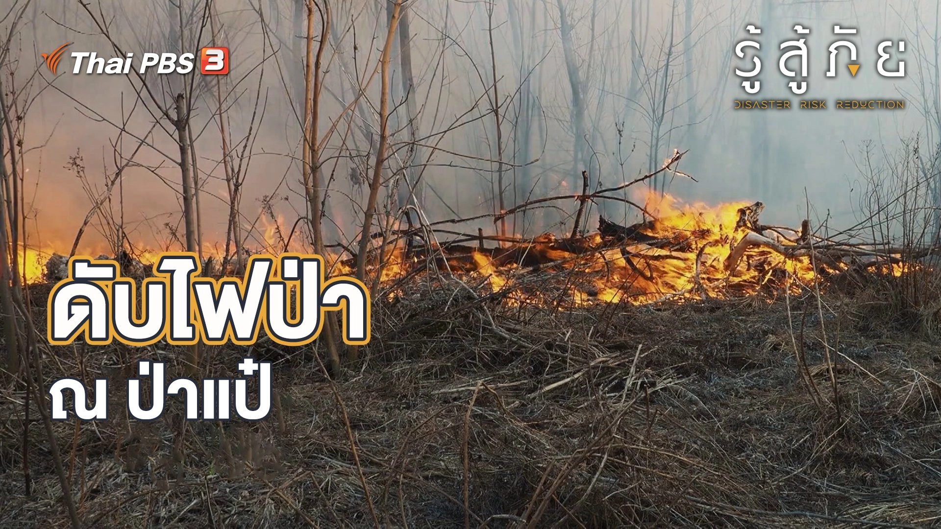 ดับไฟป่า ณ ป่าแป๋