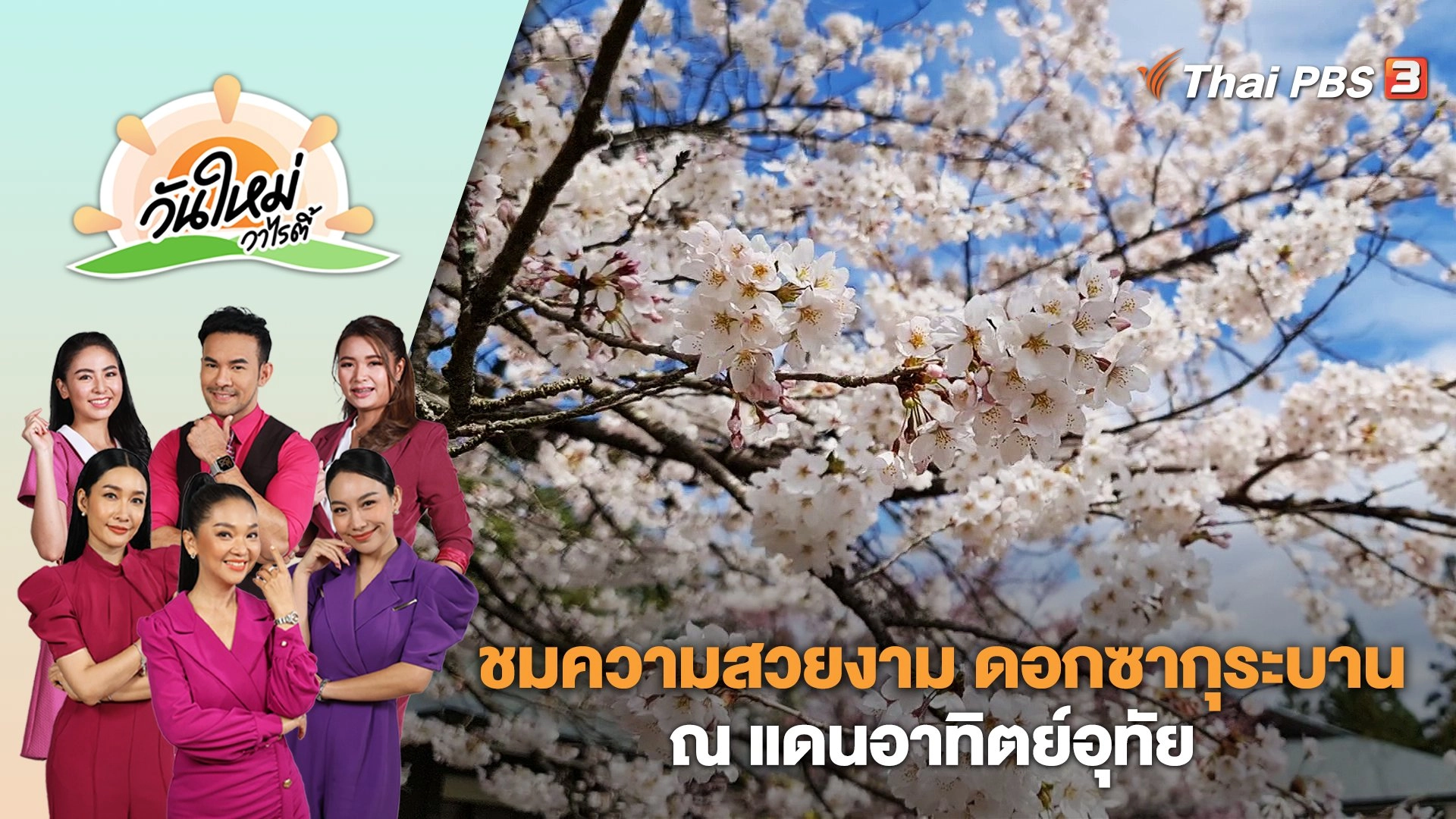 ชมความสวยงาม ดอกซากุระบาน ณ แดนอาทิตย์อุทัย | วันใหม่วาไรตี้ | 19 เม.ย. 66