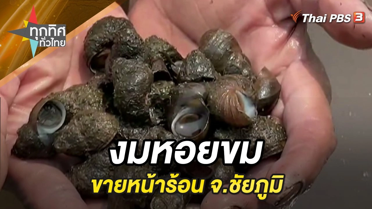 งมหอยขมขายหน้าร้อน จ.ชัยภูมิ