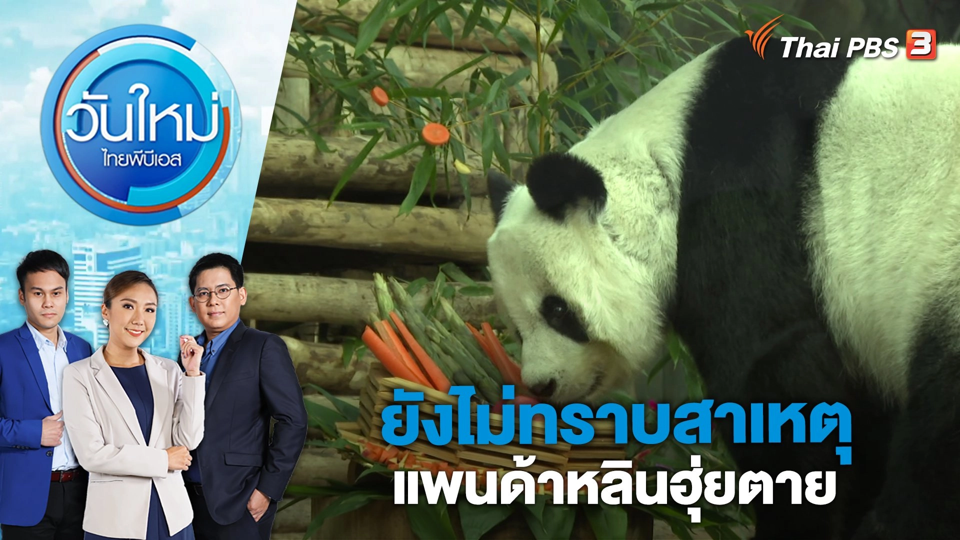 ยังไม่ทราบสาเหตุแพนด้าหลินฮุ่ยตาย | วันใหม่ ไทยพีบีเอส | 20 เม.ย. 66