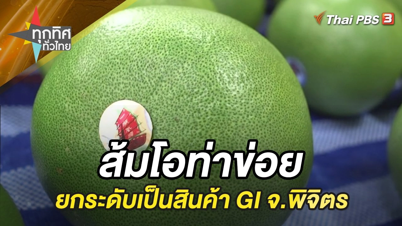 ส้มโอท่าข่อยยกระดับเป็นสินค้า GI จ.พิจิตร