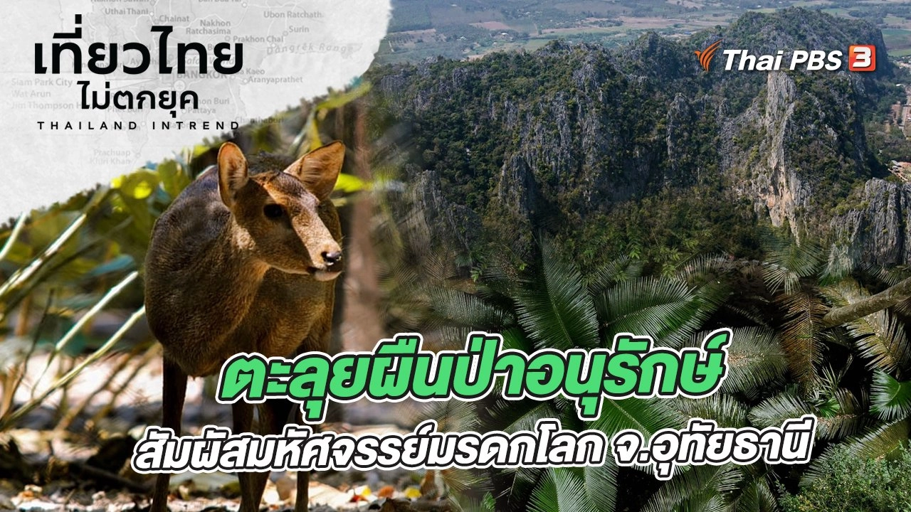 ตะลุยผืนป่าอนุรักษ์ สัมผัสมหัศจรรย์มรดกโลก จังหวัดอุทัยธานี