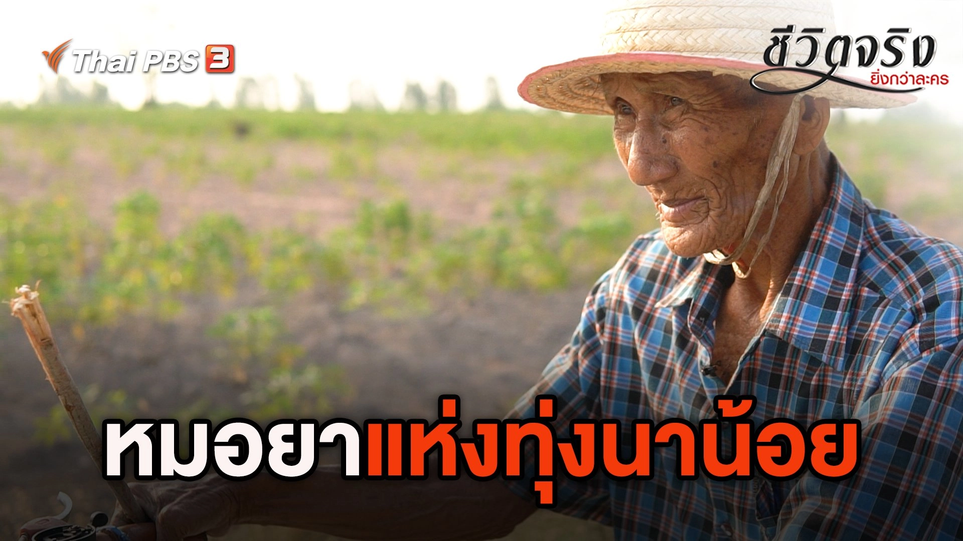 หมอยาแห่งทุ่งนาน้อย