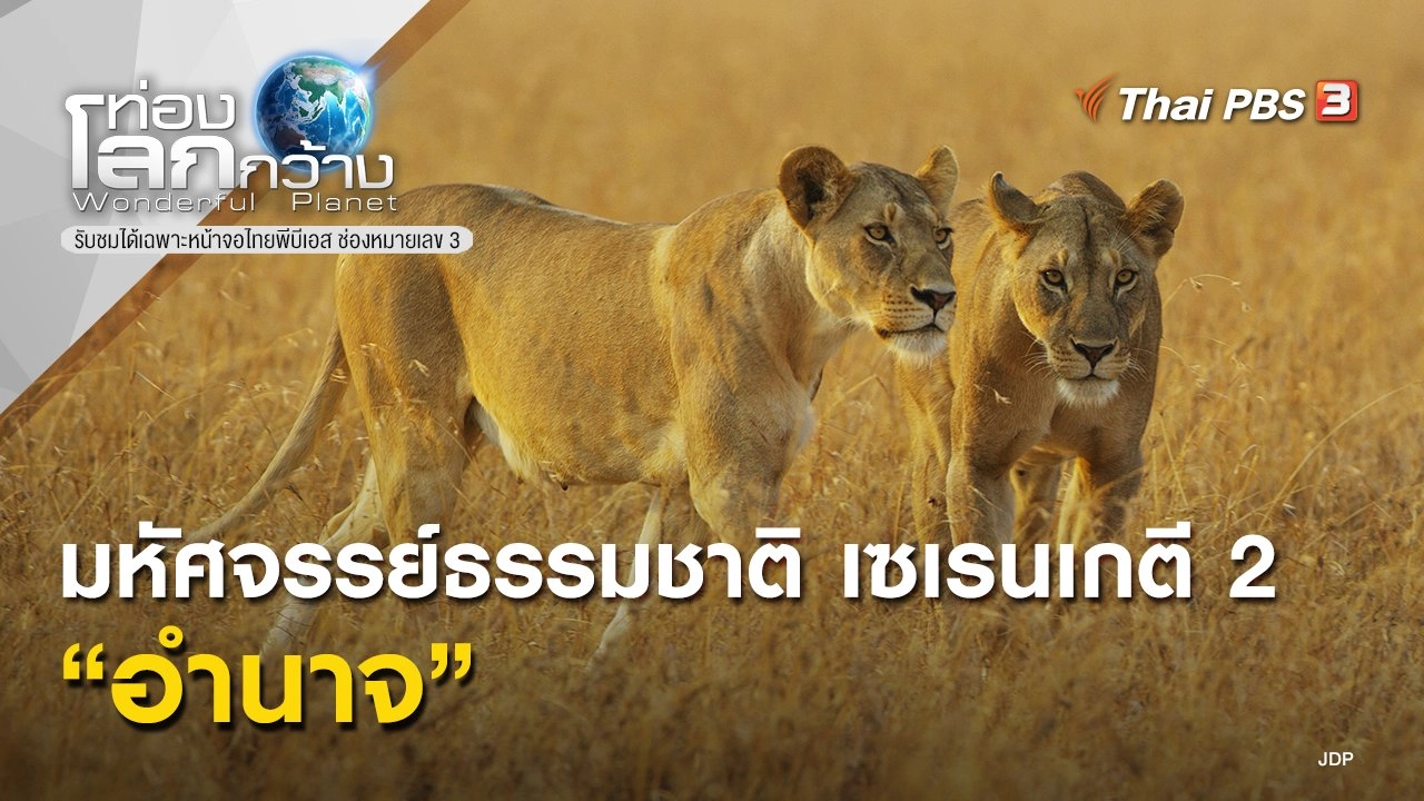 มหัศจรรย์ธรรมชาติ เซเรนเกตี 2 ตอน อำนาจ