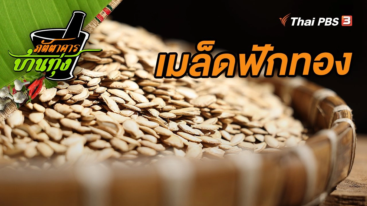 เมล็ดฟักทอง