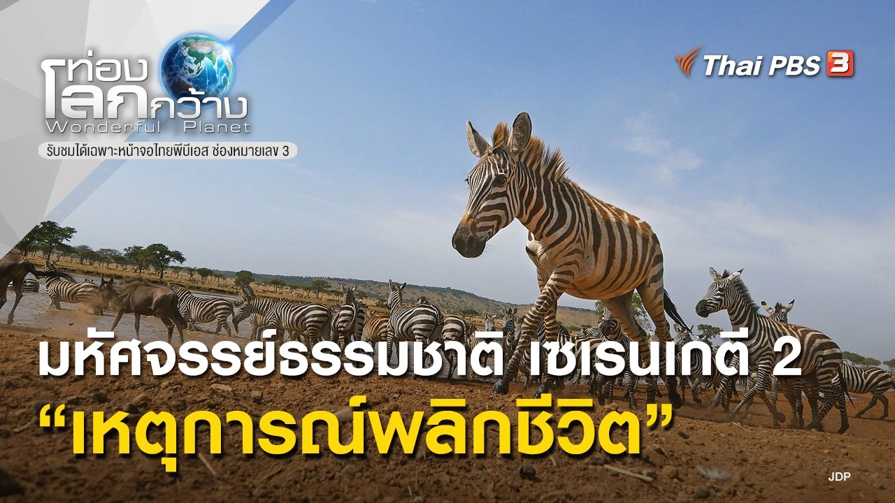 มหัศจรรย์ธรรมชาติ เซเรนเกตี 2 ตอน เหตุการณ์พลิกชีวิต