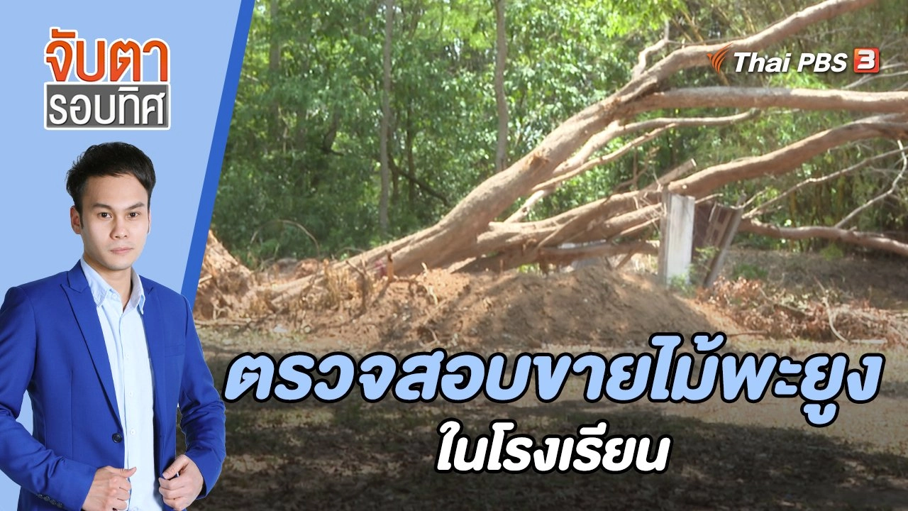 ตรวจสอบขายไม้พะยูงในโรงเรียน | 9 พ.ค. 66