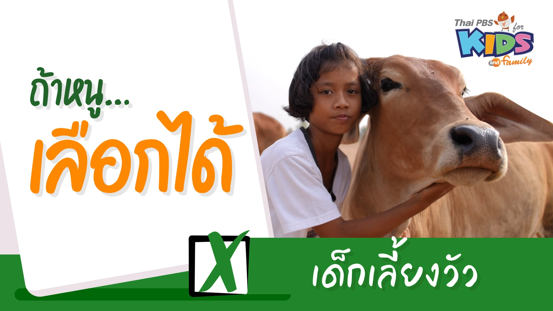 เด็กเลี้ยงวัว