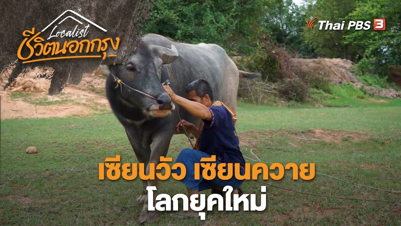 เซียนวัว เซียนควาย โลกยุคใหม่