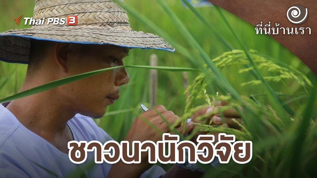 ชาวนานักวิจัย