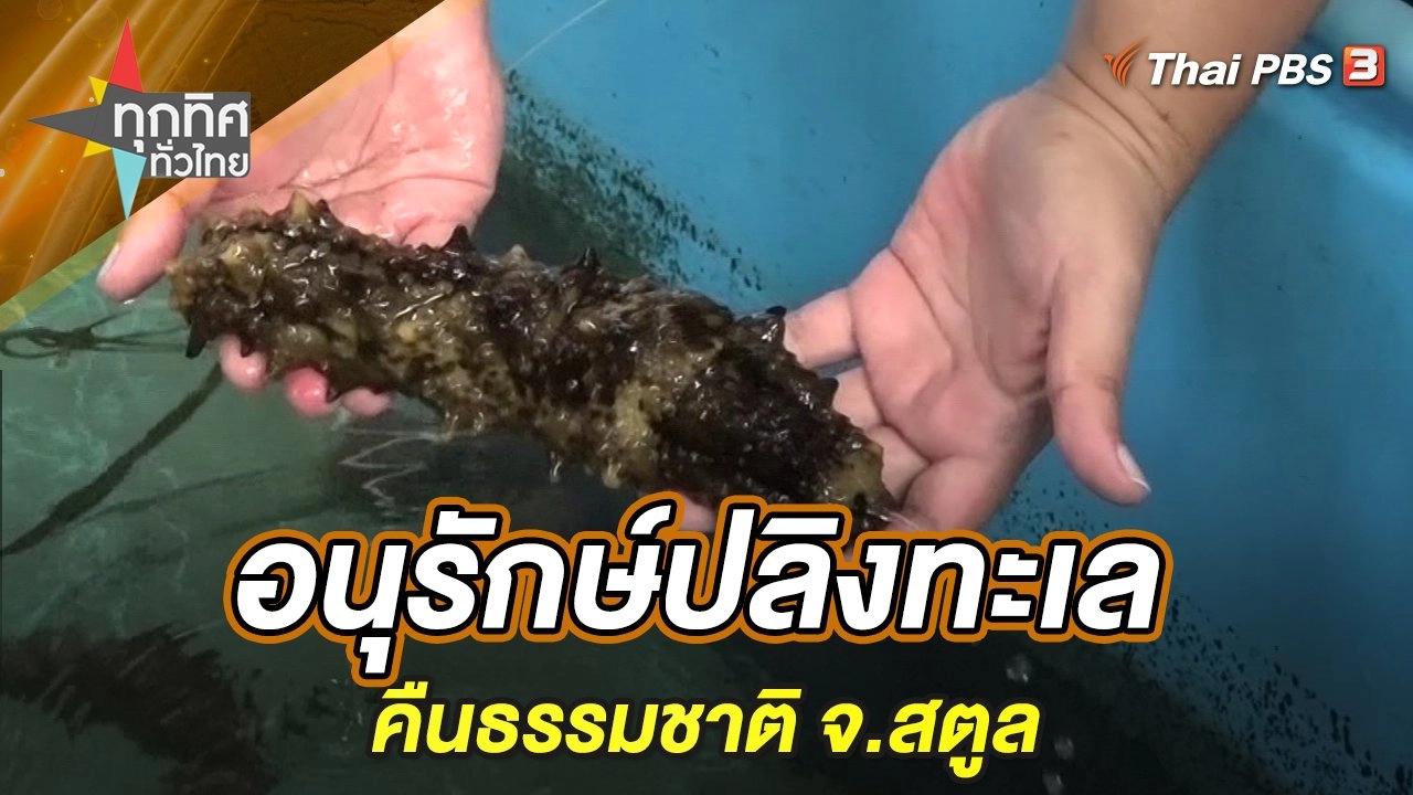 อนุรักษ์ปลิงทะเลคืนธรรมชาติ จ.สตูล