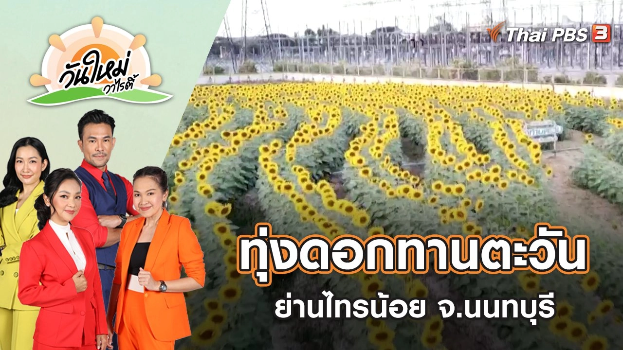 แลนด์มาร์กแห่งใหม่ ทุ่งดอกทานตะวัน ไทรน้อย จ.นนทบุรี | วันใหม่วาไรตี้ | 13 ม.ค. 66