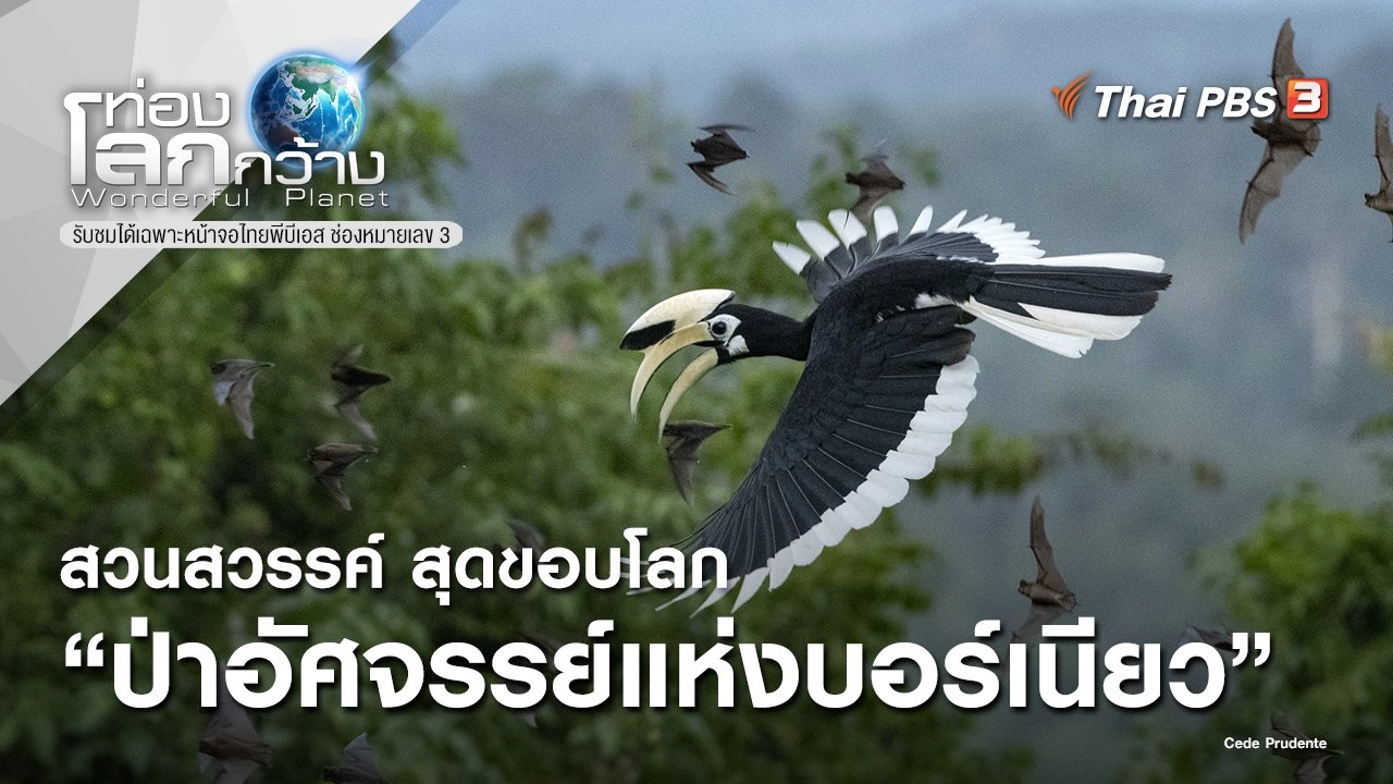 สวนสวรรค์ สุดขอบโลก ตอน ป่าอัศจรรย์แห่งบอร์เนียว