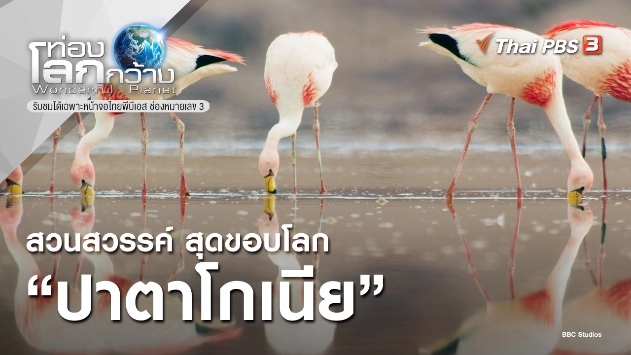 สวนสวรรค์ สุดขอบโลก ตอน ปาตาโกเนีย