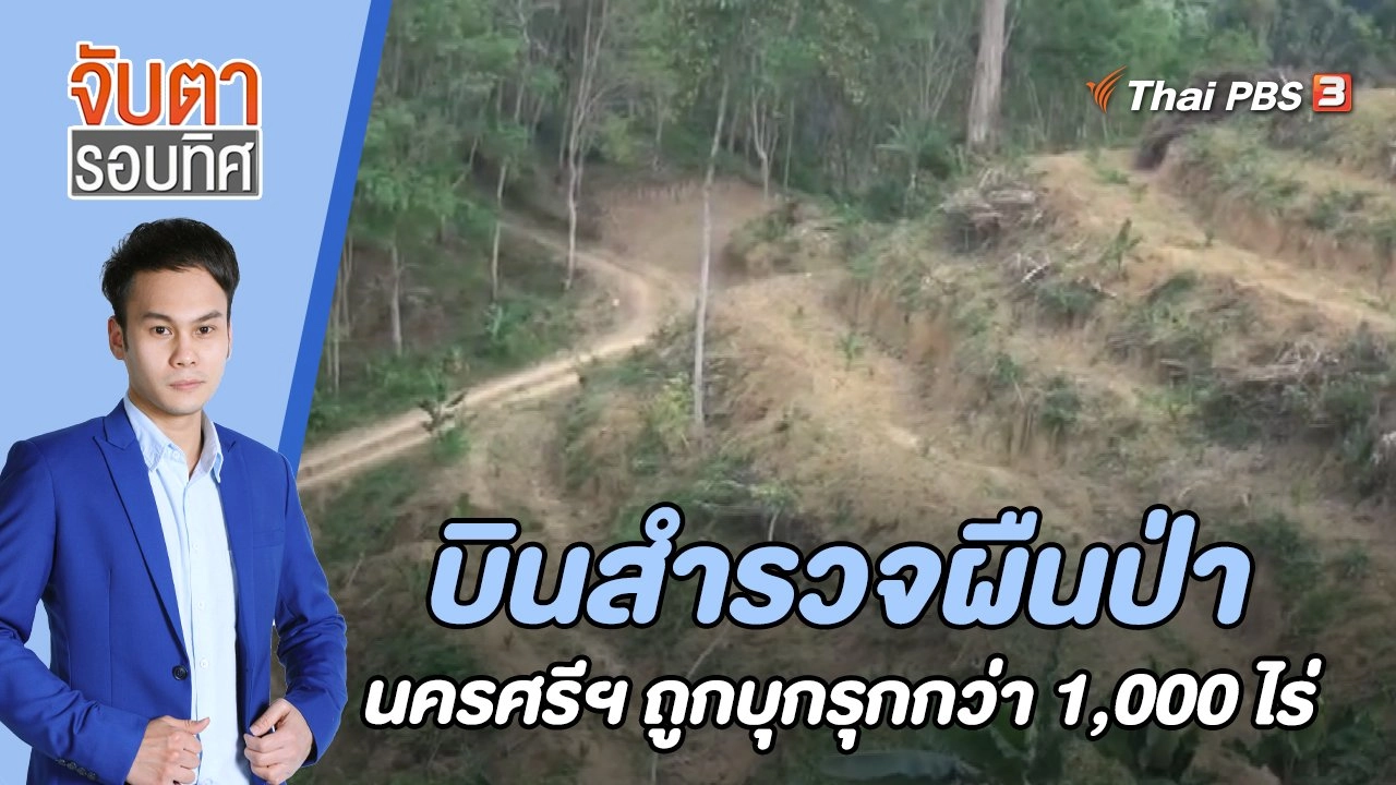 บินสำรวจผืนป่านครศรีธรรมราชถูกบุกรุกกว่า 1,000 ไร่  | 24 ม.ค. 66