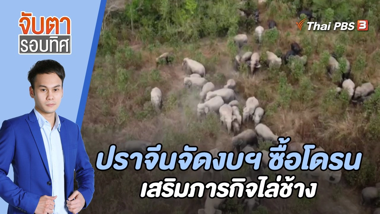 ปราจีนจัดงบฯ ซื้อโดรนเสริมภารกิจไล่ช้าง | 27 ม.ค. 66