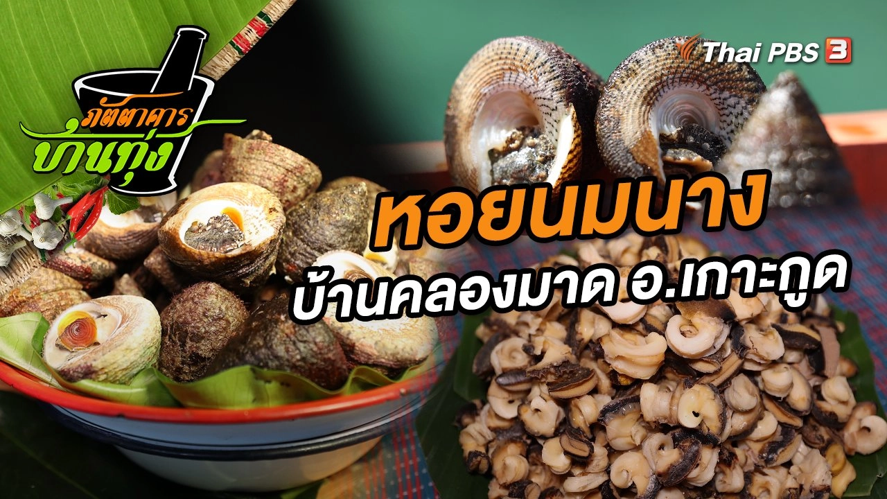 หอยนมนาง