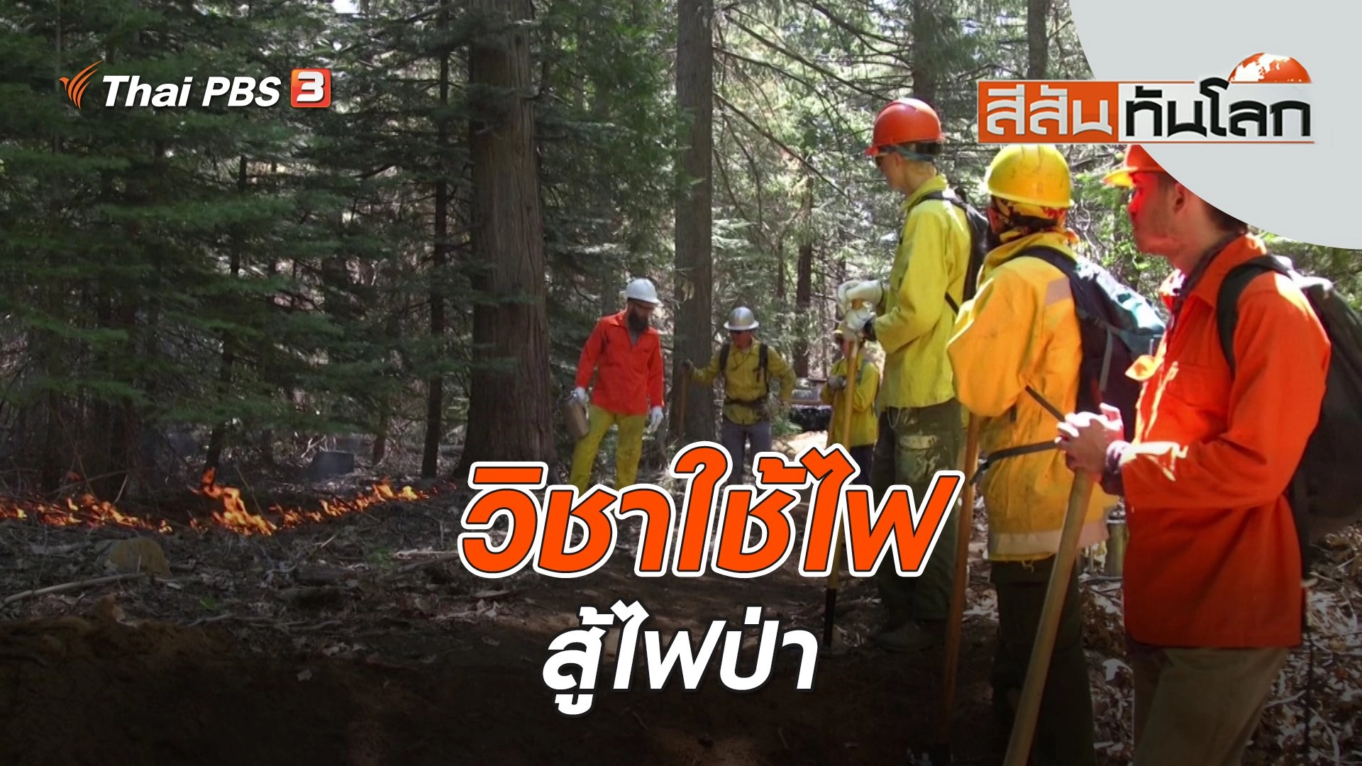 วิชาใช้ไฟสู้ไฟป่า | สีสันทันโลก | 10 มิ.ย. 66