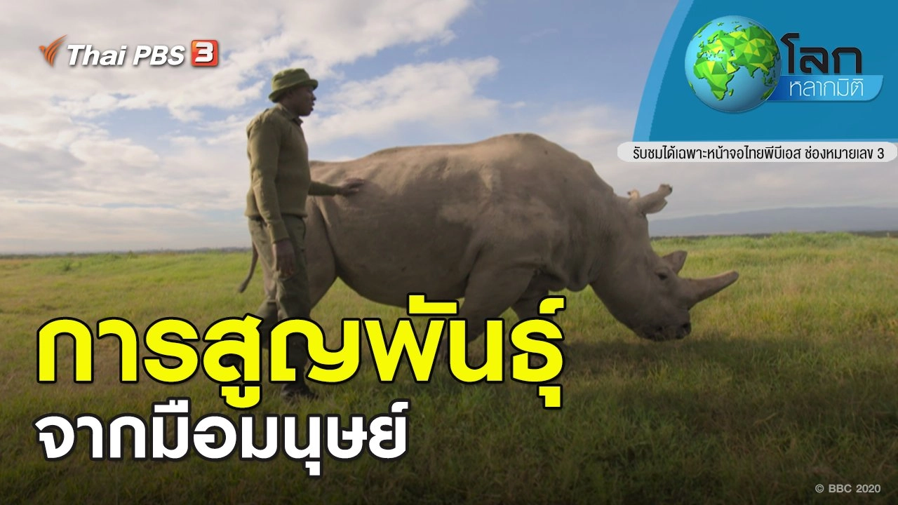 การสูญพันธุ์จากมือมนุษย์