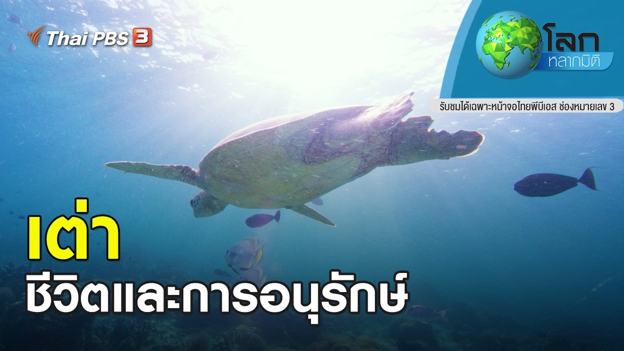 เต่า...ชีวิตและการอนุรักษ์