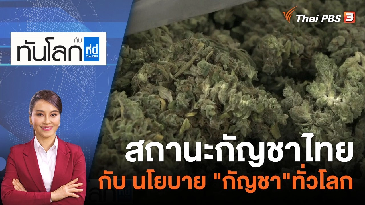 สถานะกัญชาไทย กับ นโยบาย "กัญชา"ทั่วโลก | 23 พ.ค. 66