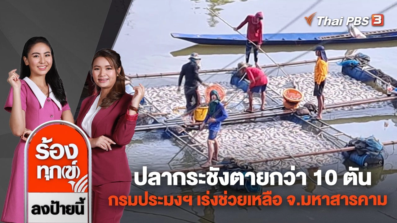 ปลากระชังตายกว่า 10 ตัน กรมประมงฯ เร่งช่วยเหลือ จ.มหาสารคาม