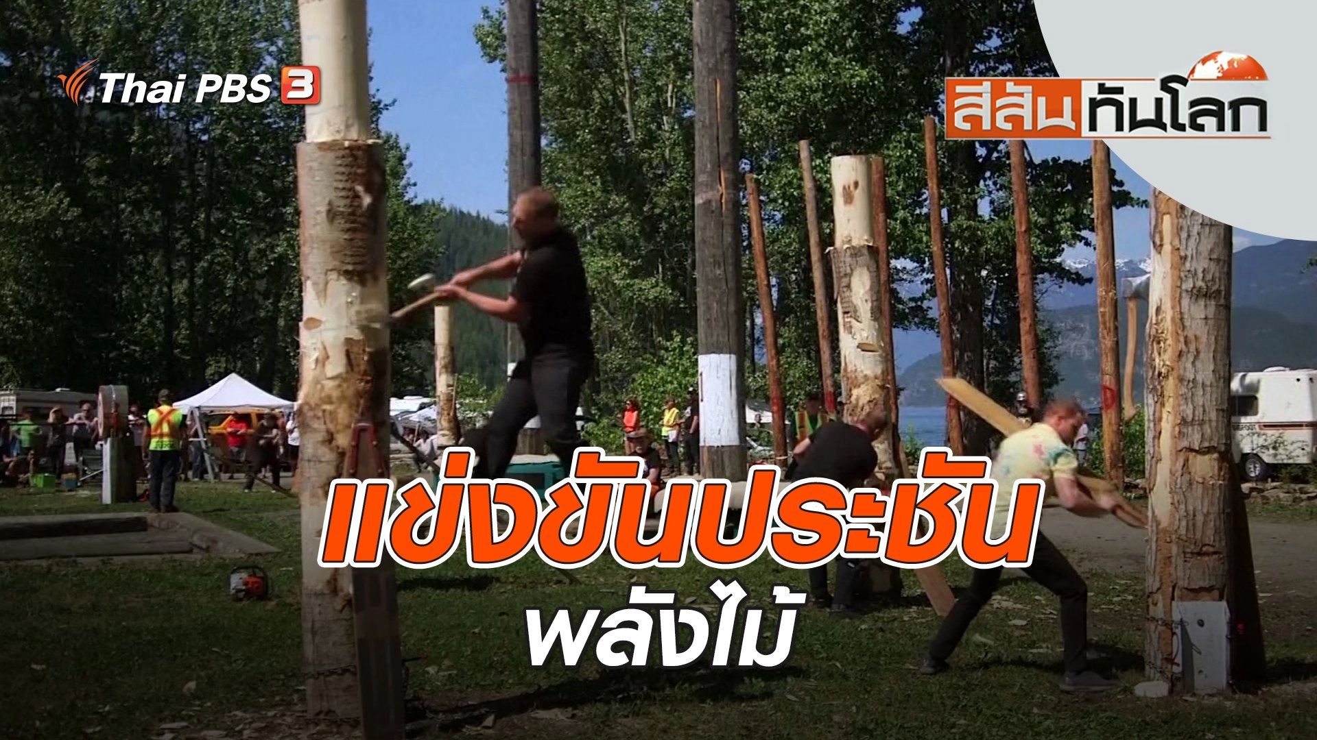 แข่งขันประชันพลังไม้ | สีสันทันโลก | 27 พ.ค. 66