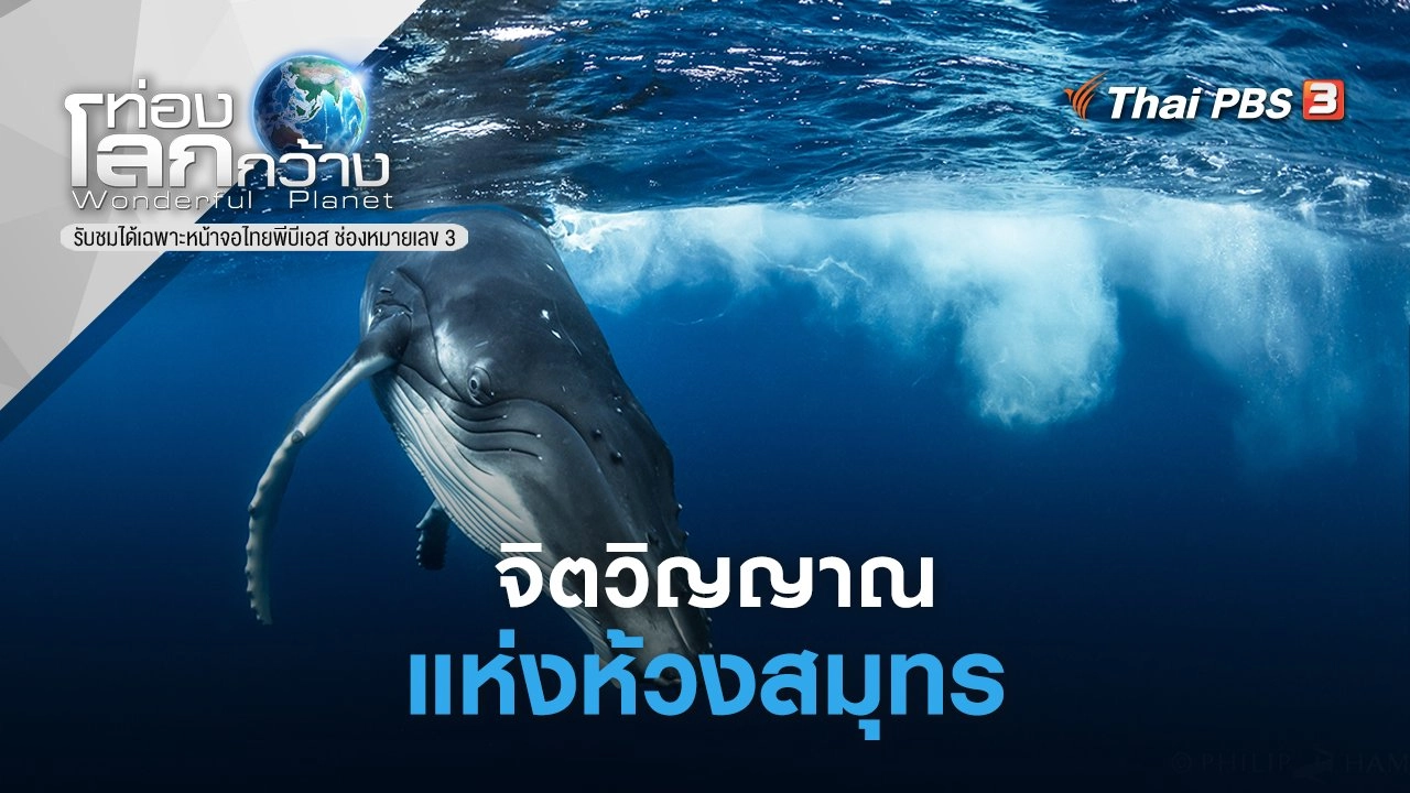 จิตวิญญาณแห่งห้วงสมุทร