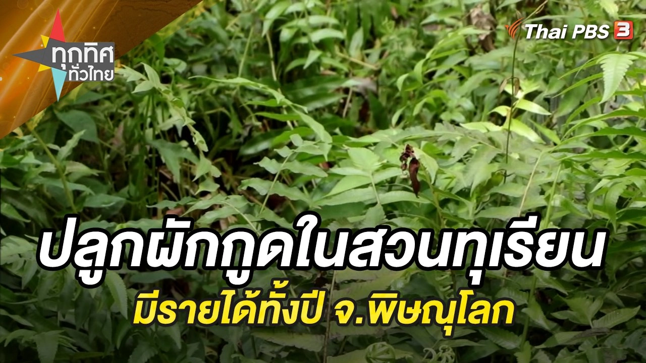 ทุกทิศทั่วไทย