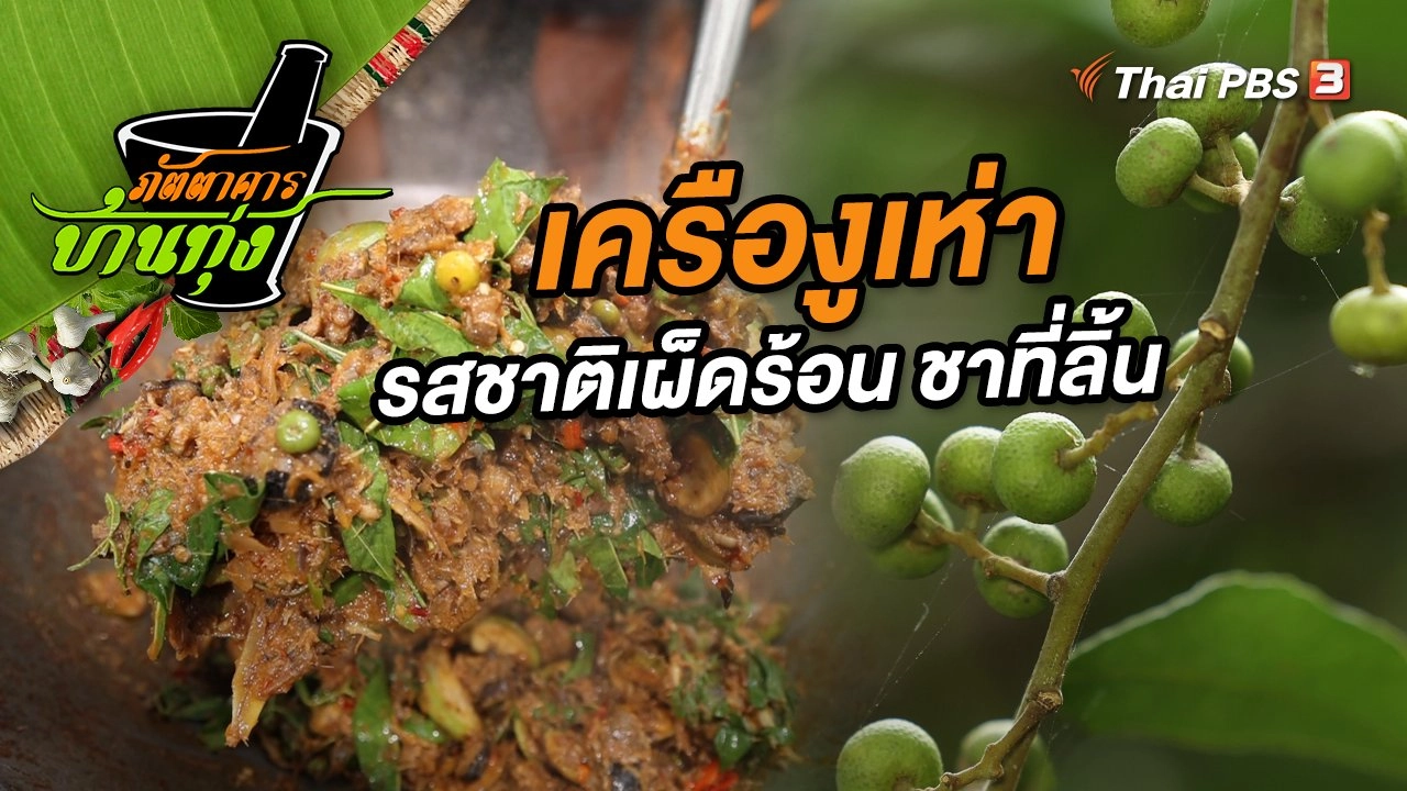 เครืองูเห่า