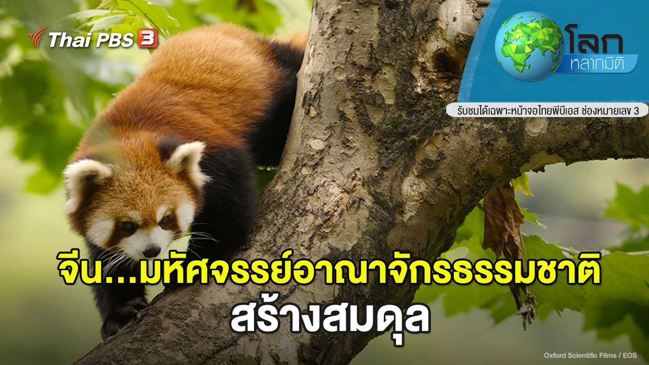 จีน...มหัศจรรย์อาณาจักรธรรมชาติ ตอน สร้างสมดุล