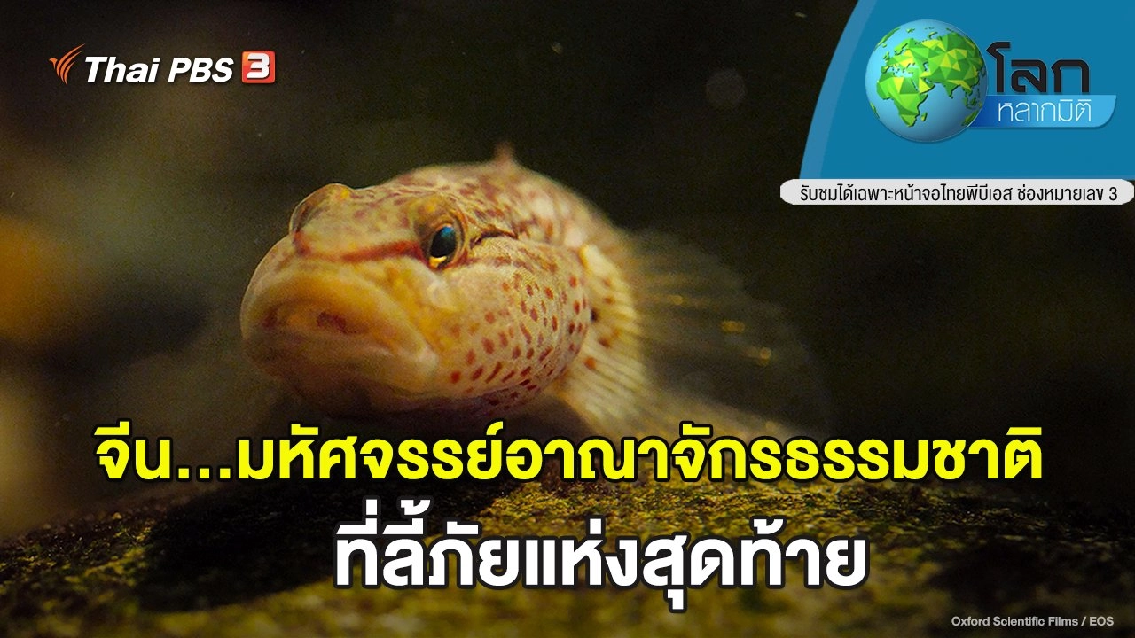 จีน...มหัศจรรย์อาณาจักรธรรมชาติ ตอน ที่ลี้ภัยแห่งสุดท้าย
