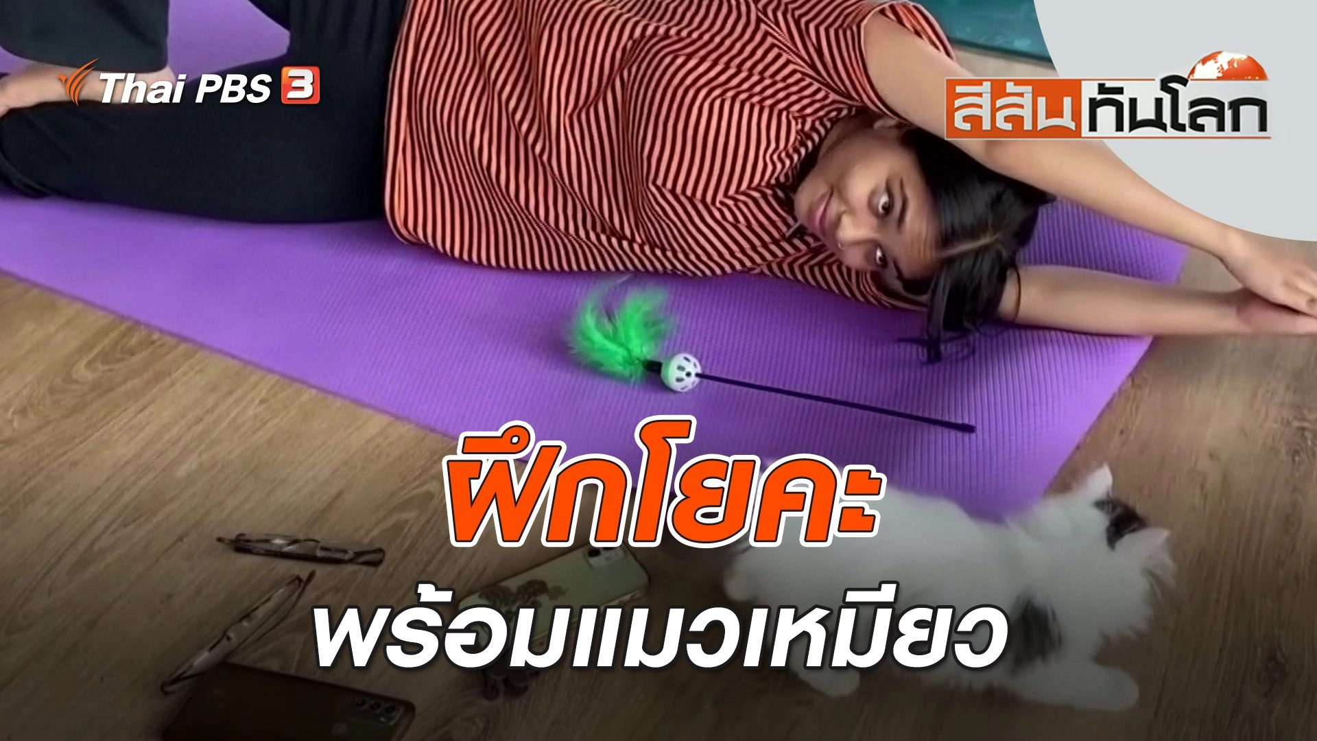 ฝึกโยคะพร้อมแมวเหมียว | สีสันทันโลก | 12 ส.ค. 66
