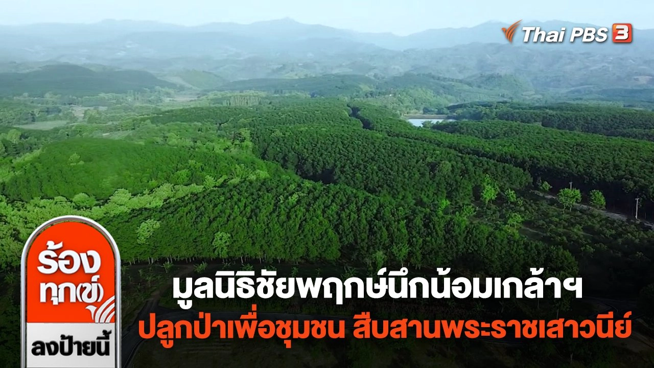 มูลนิธิชัยพฤกษ์นึกน้อมเกล้าฯ ปลูกป่าเพื่อชุมชน สืบสานพระราชเสาวนีย์