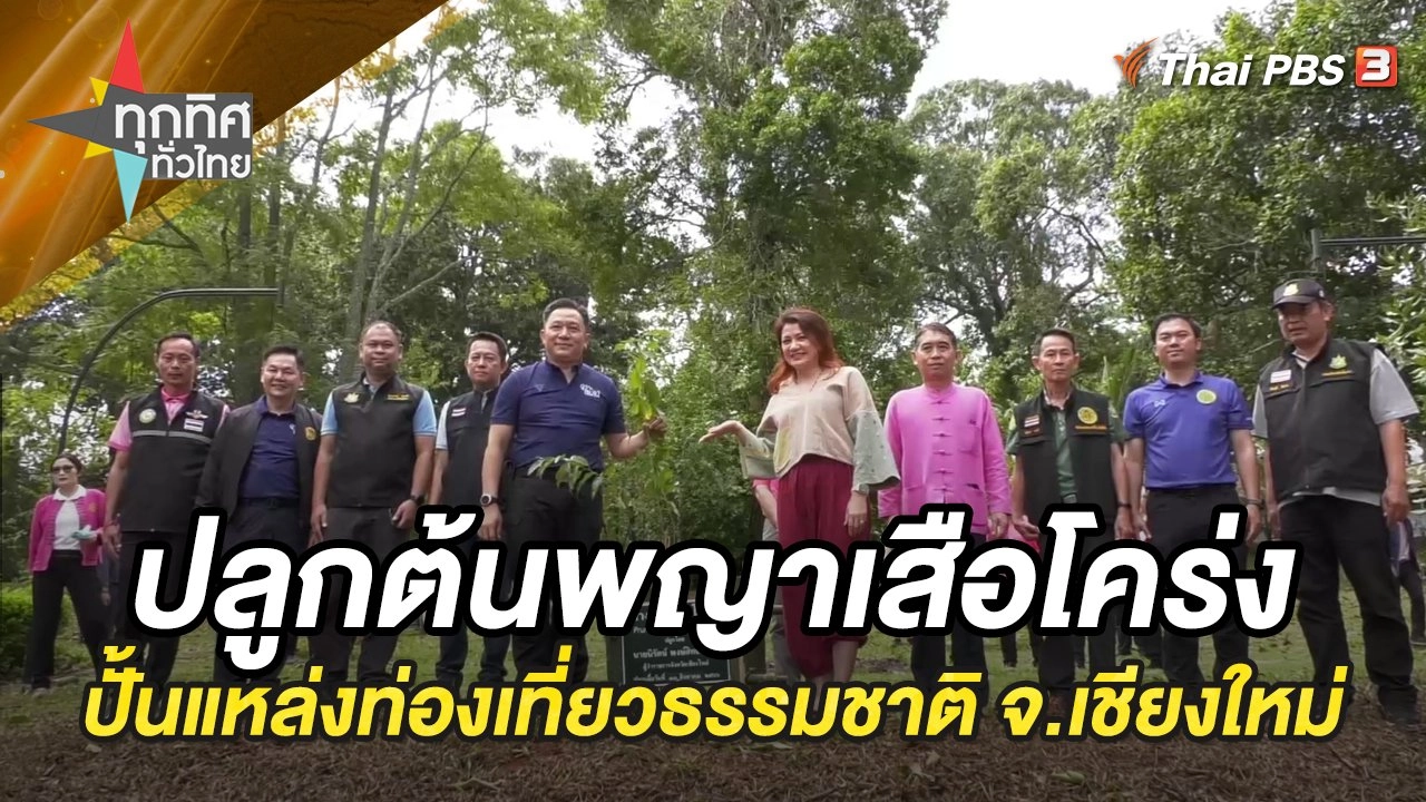 ปลูกต้นพญาเสือโคร่งสร้างแหล่งท่องเที่ยวธรรมชาติ จ.เชียงใหม่