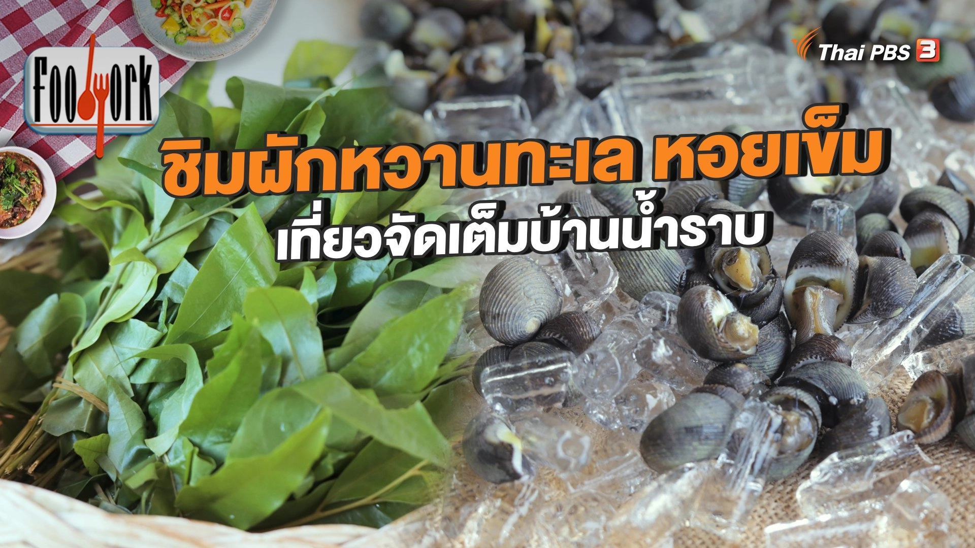 ชิมผักหวานทะเล หอยเข็ม เที่ยวจัดเต็มบ้านน้ำราบ