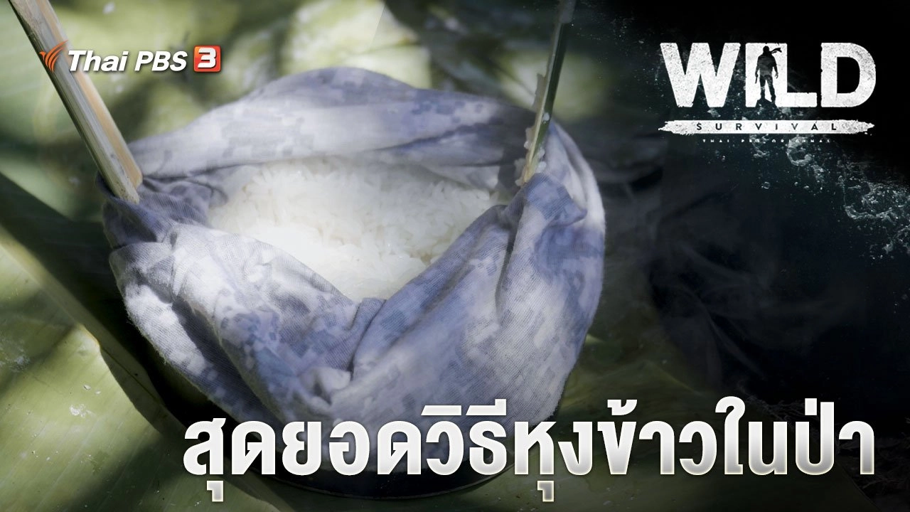 สุดยอดวิธีหุงข้าวในป่า